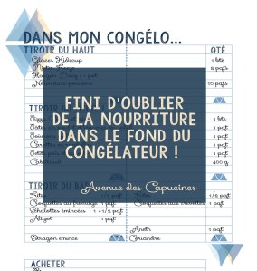 listecongélateurvignette